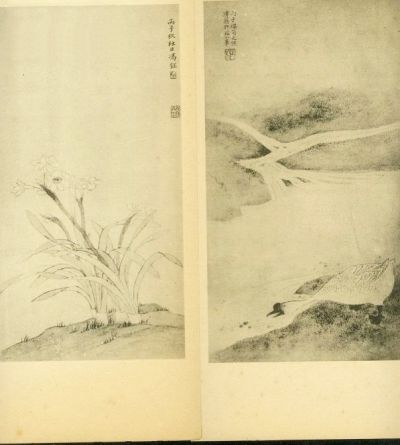 《水仙》 冯钰 作