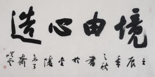 孙晓云(1955年—)境由心造