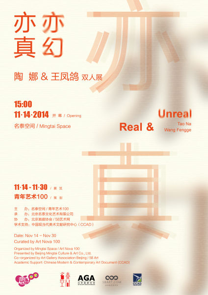 亦真亦幻：陶娜王凤鸽双人展 海报