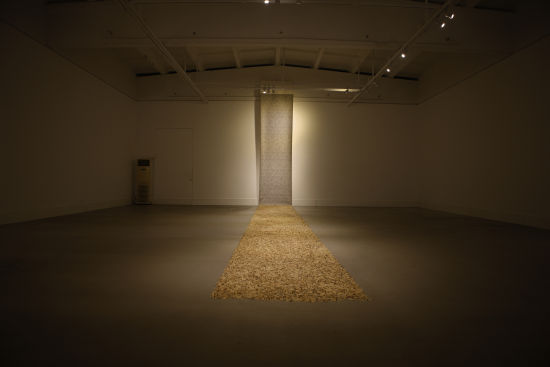 顾小平《变异》500X130 + 500X130cm 宣纸 火柴 2008