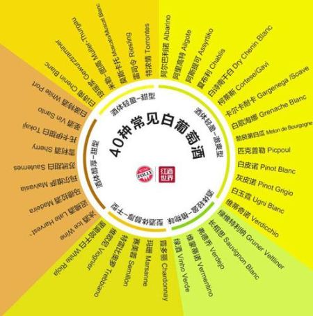 40种常见白葡萄酒按照风格划分为5大类