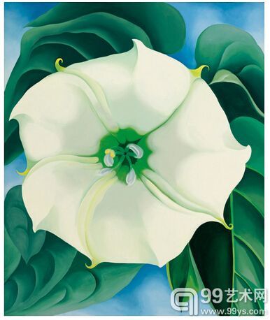 《白色花朵，一号》(Jimson Weed/White Flower No.1)