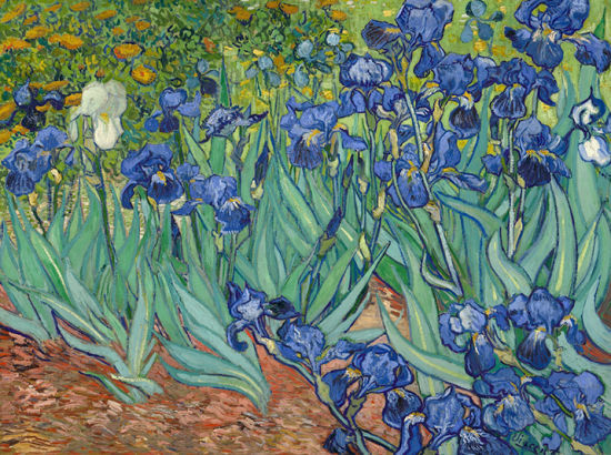 TOP7.《鸢尾花》(Irises，1889)，5390万美元